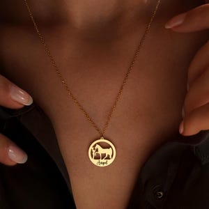 Colar personalizado com nome de cavalo, joia equestre, colar com nome de cavalo, presente para amantes de animais, pingente de cavalo em ouro, presente em memória de um cavalo, presente para mães de cavalos imagem 4