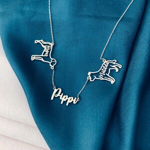以下が含まれることがあります： 2匹の犬のシルエットと「Pippi」という名前が筆記体で書かれたシルバーネックレス。犬のシルエットには「Matilda」と「Molly」という名前が書かれている