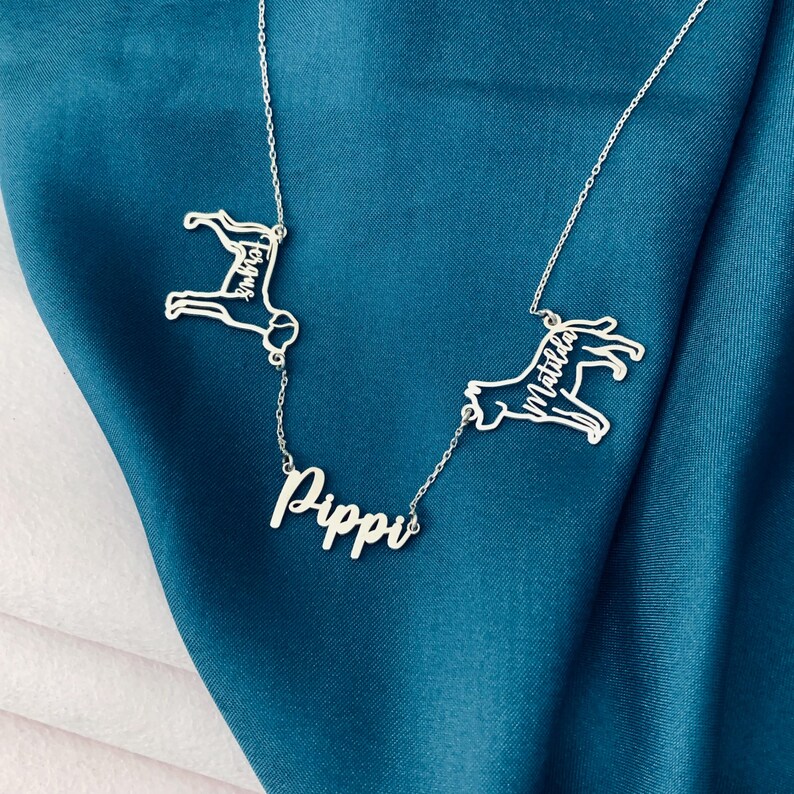 以下が含まれることがあります： 2匹の犬のシルエットと「Pippi」という名前が筆記体で書かれたシルバーネックレス。犬のシルエットには「Matilda」と「Molly」という名前が書かれている