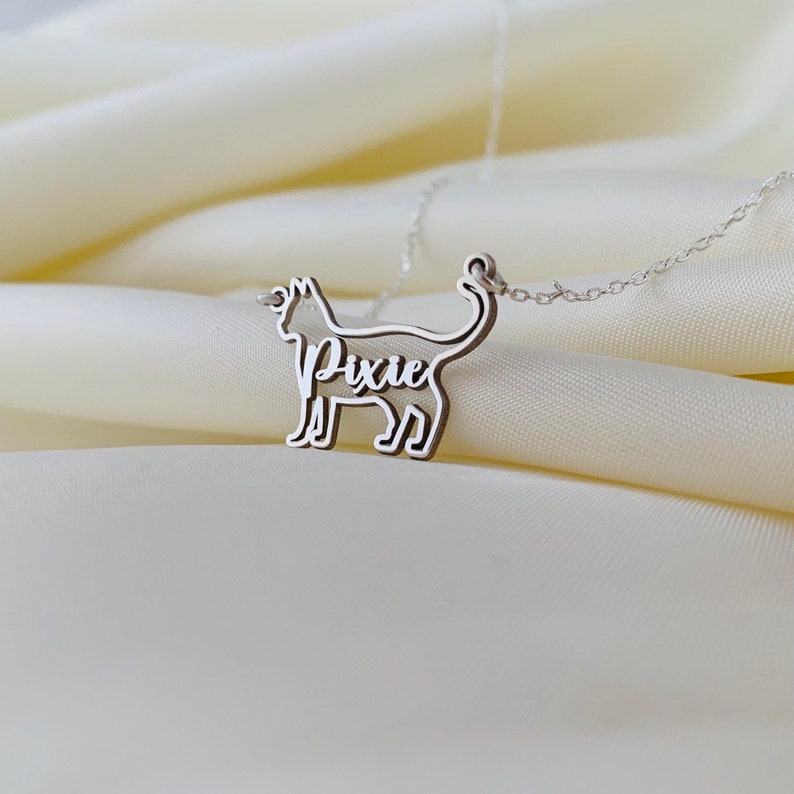May include: Silver cat necklace with the name "Pixie" cut out inside the silhouette.