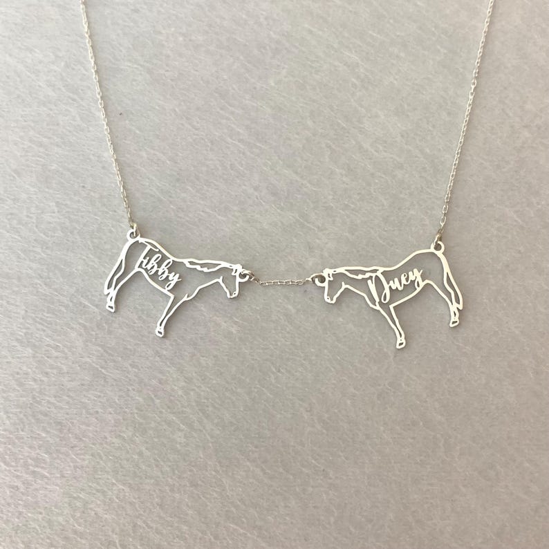 Pu&ograve; includere: Collana d'argento con due sagome di cavalli, ciascuna con un nome inciso. I nomi sono "Tibby" e "Duey".