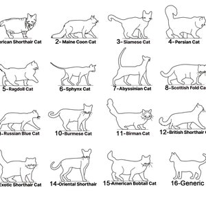 May include: Line drawings of 16 different cat breeds, including the American Shorthair, Maine Coon, Siamese, Persian, Ragdoll, Sphynx, Abyssinian, Scottish Fold, Russian Blue, Burmese, Birman, British Shorthair, Exotic Shorthair, Oriental Shorthair, American Bobtail, and Generic.