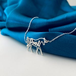 Peut inclure: Collier en argent en forme de cheval avec le nom "Pearl" &eacute;crit &agrave; l'int&eacute;rieur du contour du cheval.