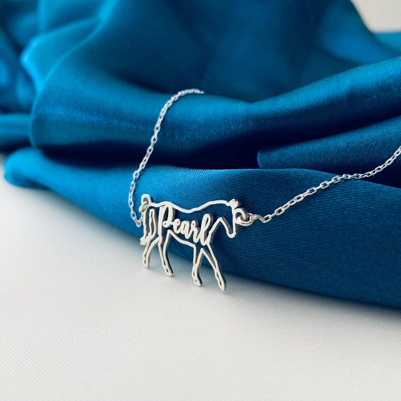 Peut inclure: Collier en argent en forme de cheval avec le nom "Pearl" &eacute;crit &agrave; l'int&eacute;rieur du contour du cheval.