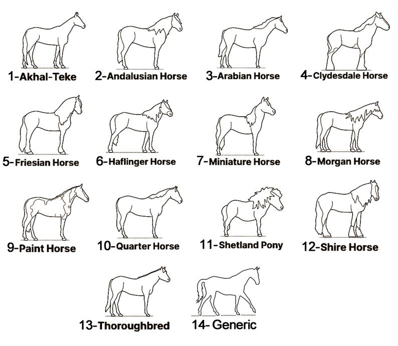 Peut inclure: Dessins au trait de 14 races de chevaux diff&eacute;rentes, notamment Akhal-Teke, Andalou, Arabe, Clydesdale, Frison, Haflinger, Miniature, Morgan, Paint, Quarter, Shetland Pony, Shire, Pur-sang et G&eacute;n&eacute;rique.