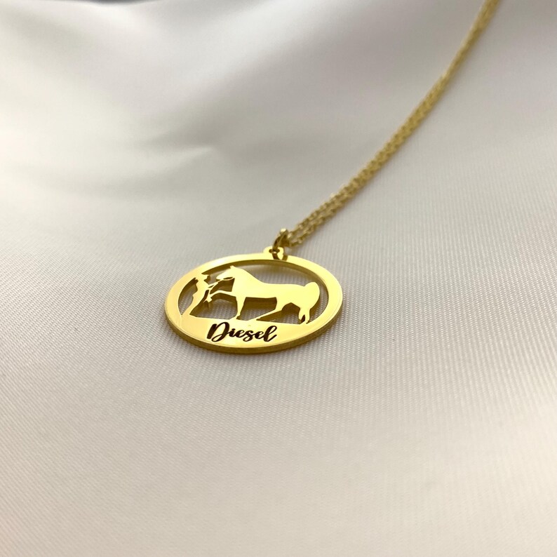 Colar personalizado com nome de cavalo, joia equestre, colar com nome de cavalo, presente para amantes de animais, pingente de cavalo em ouro, presente em memória de um cavalo, presente para mães de cavalos imagem 3