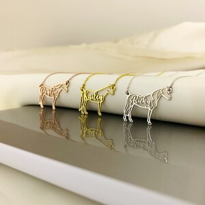 Peut inclure: Trois colliers de cheval en or avec les noms "Preston", "Kailey" et "Ricky" d&eacute;coup&eacute;s dans le m&eacute;tal. Les colliers sont sur une surface blanche.