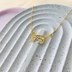 Op de afbeelding: Gouden ketting met een kattenhanger. De omtrek van de kat is uitgesneden, en de naam "Stormy" staat binnen de omtrek.