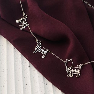 May include: A silver necklace with three dog silhouette charms. The charms are engraved with the names "Bing", "Remy", and "Luca".