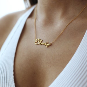 May include: Gold necklace with a paw print charm and the name "Lucky" written in cursive.