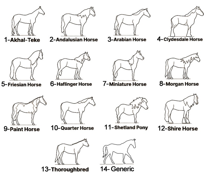 Peut inclure: Dessins au trait de 14 races de chevaux diff&eacute;rentes, dont l'Akhal-Teke, l'Andalou, l'Arabe, le Clydesdale, le Frison, l'Haflinger, le Miniature, le Morgan, le Paint, le Quarter, le Shetland Pony, le Shire, le Pur-sang et le G&eacute;n&eacute;rique. Chaque race est &eacute;tiquet&eacute;e avec son nom et un num&eacute;ro.