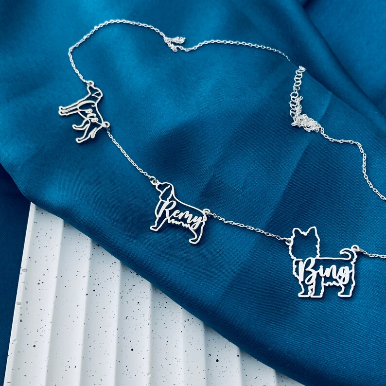 May include: A silver necklace with three dog silhouette charms. The charms are cut out to spell the names "Remy" and "Bing".