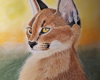 Ilustración de retrato de caracal: Arte de la vida silvestre a lápiz pastel