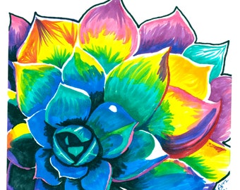 Rainbow Succulent, art print