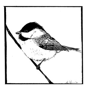 Stampa d'arte Chickadee, decorazione della parete in bianco e nero