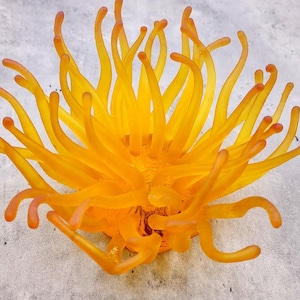 Yellow FAUX Anemone Condylactis Gigantea (1 FAKE Anemone approx. 6W x 3D x 6T inches) Swell coral for any coastal display!