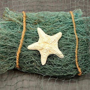 Blue Green Fishing Net (1 net approx. 4x9 feet) Recycled authentic fish net for ocean displays arts crafts & nautical themed parties!