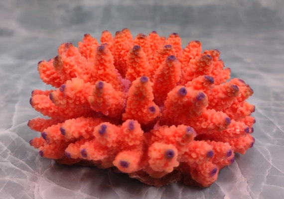 Yellow FAUX Branch Coral - Acropora Florida - (1 Fake Coral approx.  7Wx7.5Tx2.5D inches)