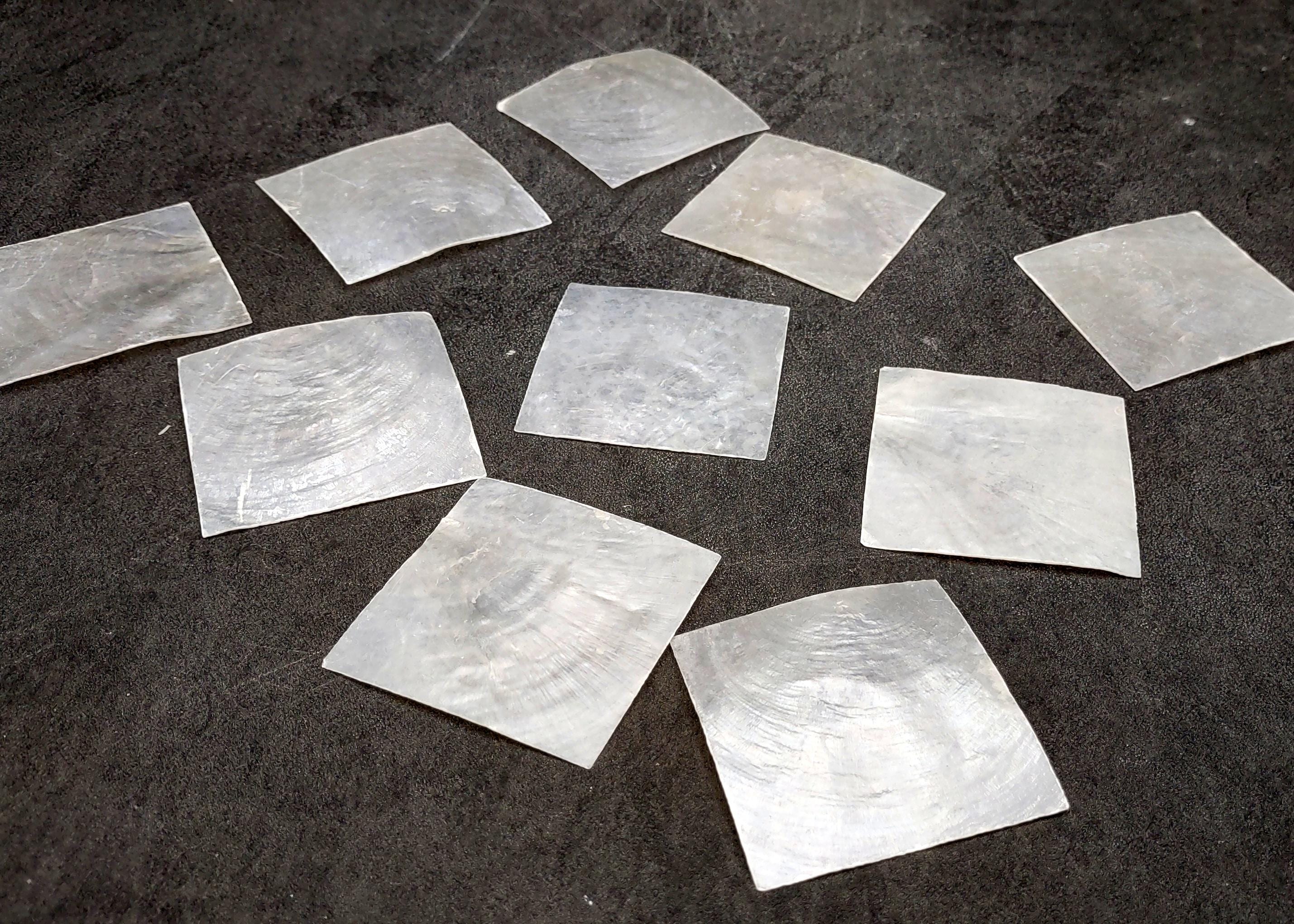 Capiz Square Cut Seashells White Clear Placuna Placenta (10 Shells ...