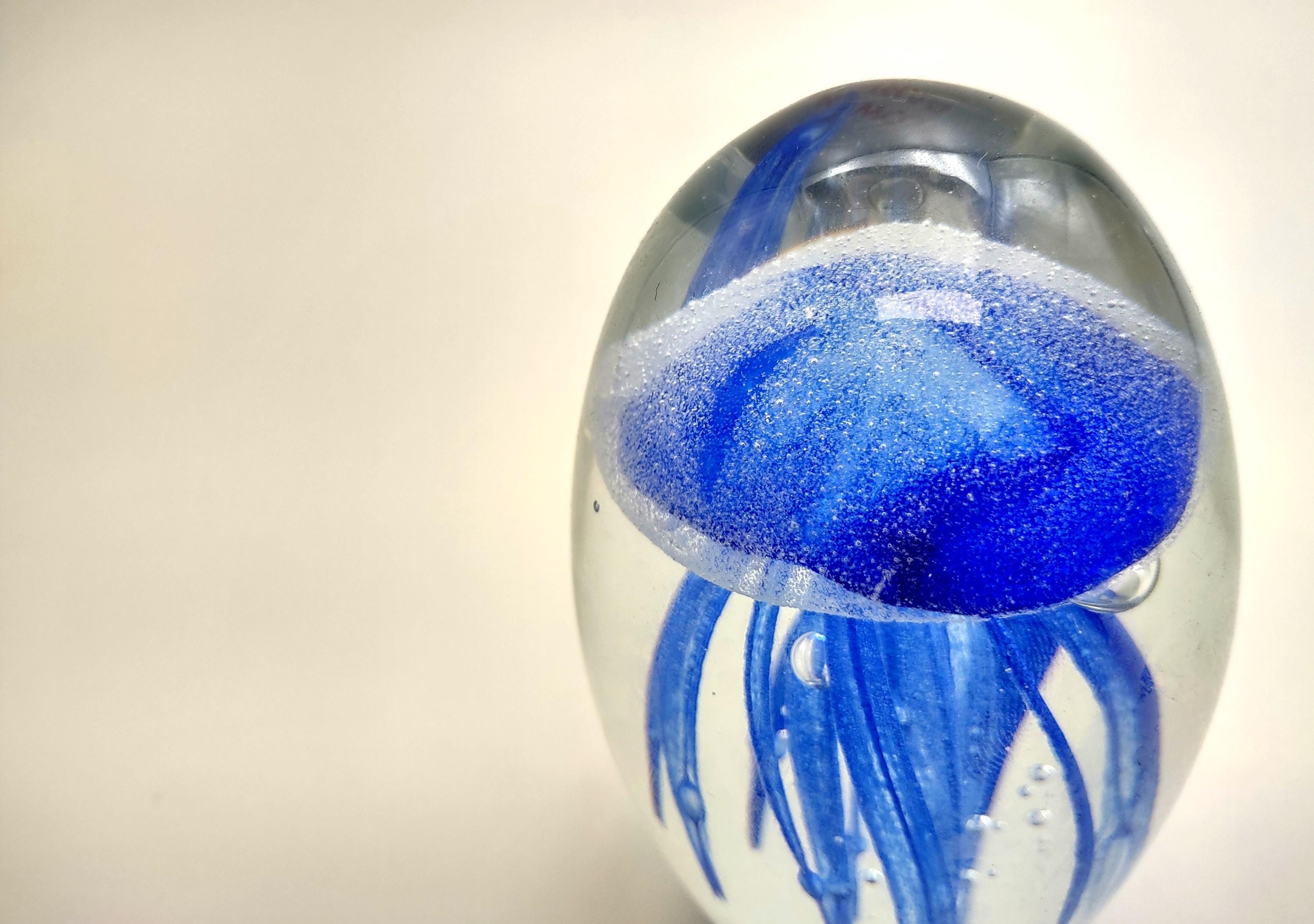 Jellyfish Glass Egg Deep Blue Paperweight Glow in the Dark (1 Figurine ...