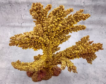 Yellow/Tan FAUX Branch Coral Acropora Florida (1 Fake Coral approx. 12x10x5 inches)