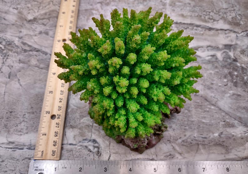 Green FAUX Table Coral - Acropora Hyacinthus - (1 FAUX Coral approx. 5Wx6Dx4T inches). Green thick fluffed coral set on rock. Copyright 2024 SeaShellSupply.co