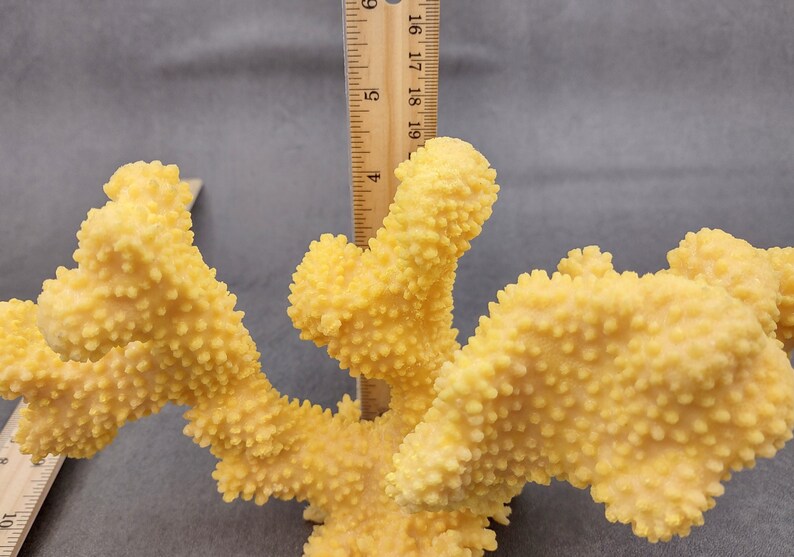 Coral de coliflor sintética amarilla Pocillopora Eydouxi 1 coral sintética de aproximadamente 9 pulgadas de ancho x 5 de alto x 4 profundidad imagen 9