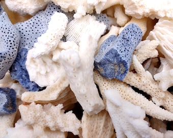 Small Coral Pieces Blue White Brown Mix (approx. 1 pound 0.5-1.5+ inches) Assorted coral chunks for coastal art craft projects or display!