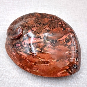 Polished Copper Midas Abalone Seashells Haliotis Midae (1 shell approx. 5+ inches) Shiny Copper Abalone Shells for display & decoration!