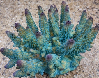 Aqua Blue FAUX Finger Staghorn Coral - Acropora Humilis - (1 FAUX Coral approx. 6Wx5Tx5D inches)