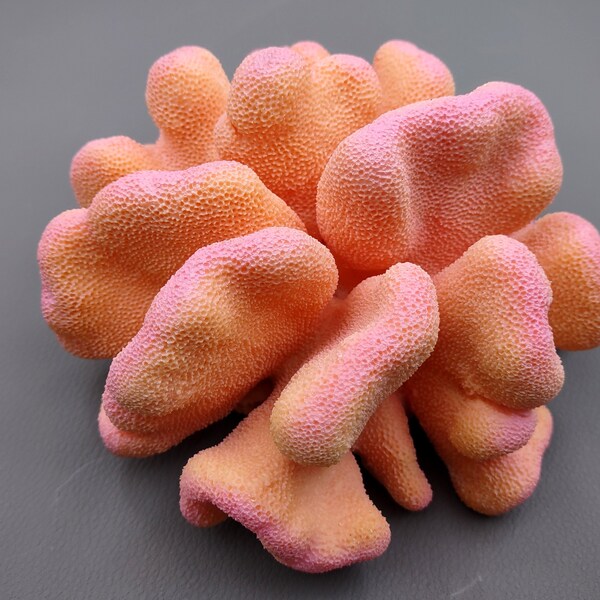 Pink Pacific Elkhorn FAUX Coral Stylophora Pistillata (1 Fake Coral approx. 6Wx3Tx6D inches)