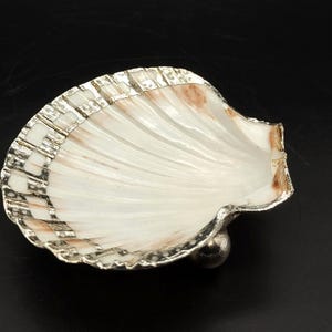 May include: A white seashell with a silver trim and a pearl-like base. The shell is a decorative dish or trinket.