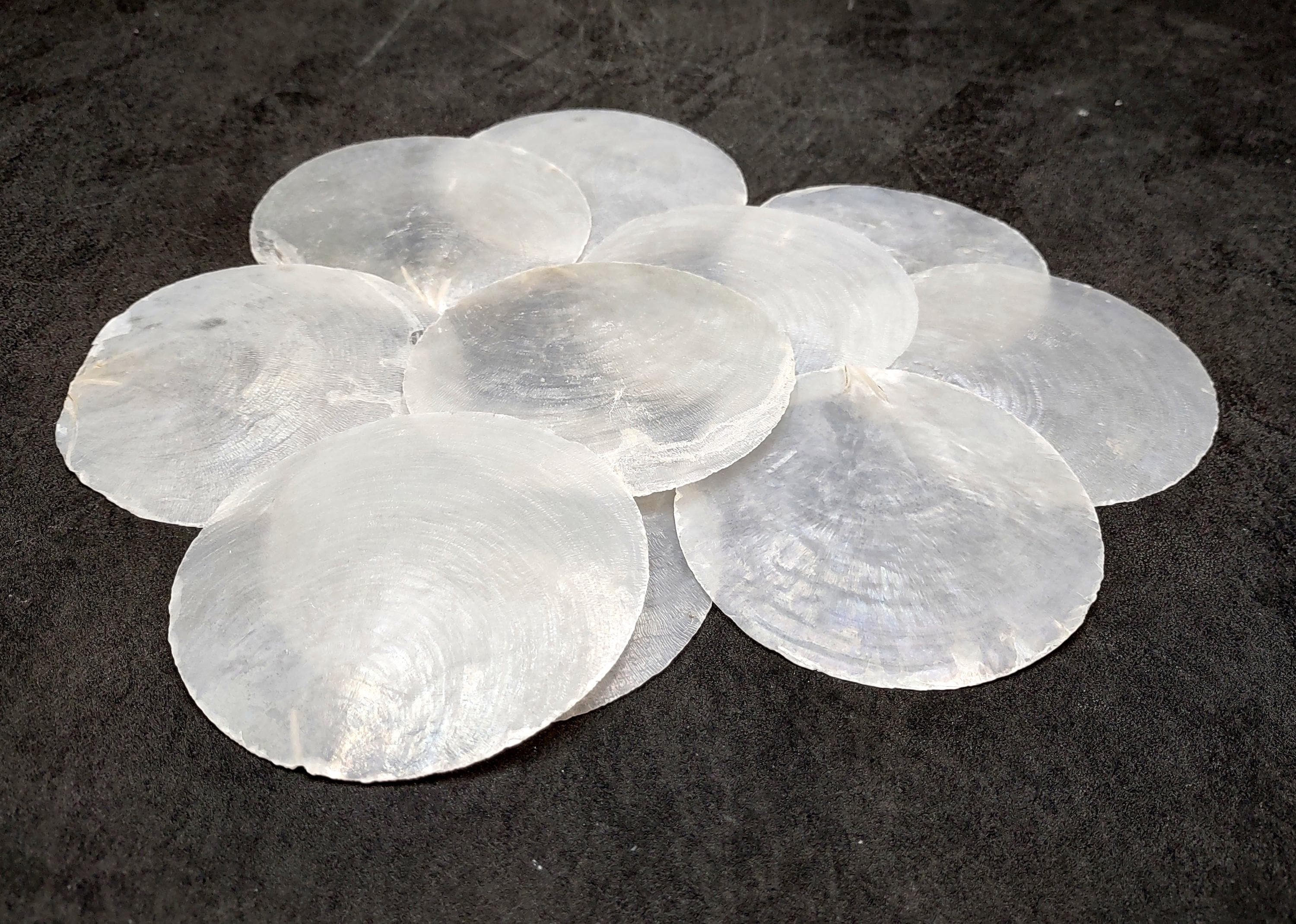 Capiz Shells Round Cut White Pearlescent Placuna Placenta (10 Shells ...