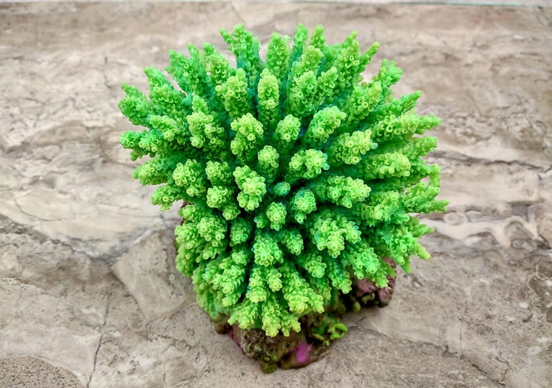 Green FAUX Table Coral - Acropora Hyacinthus - (1 FAUX Coral approx. 5Wx6Dx4T inches). Green thick fluffed coral set on rock. Copyright 2022 SeaShellSupply.com.