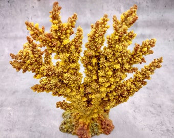 Yellow/Tan FAUX Branch Coral Acropora Florida - (1 Fake Coral approx. 7.5Tx7Wx2D inches)