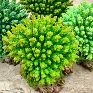 Green FAUX Table Coral - Acropora Hyacinthus - (1 FAUX Coral approx. 5Wx6Dx4T inches). Green thick fluffed coral set on rock. Copyright 2024 SeaShellSupply.co
