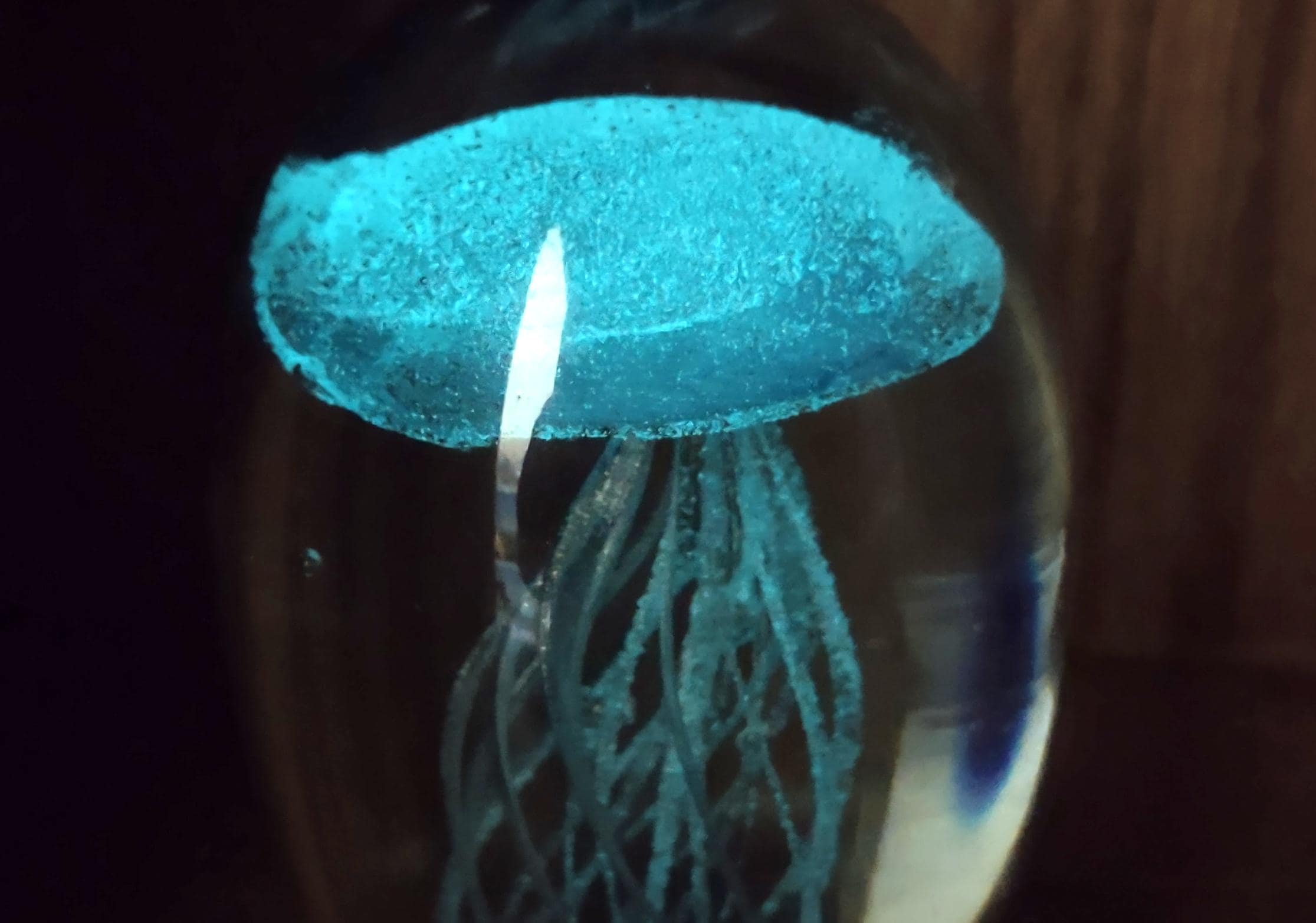 Jellyfish Glass Egg Teal Pink Paperweight Glow in the Dark (1 Figurine ...