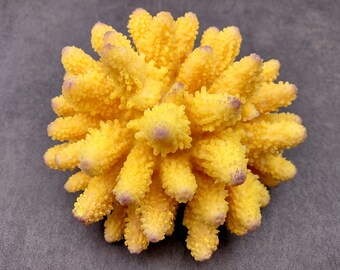 Yellow FAUX Finger Coral Acropora Humilis (1 FAUX Coral approx. 5.5Wx3.5Tx5D inches)