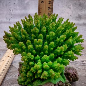 Green FAUX Table Coral - Acropora Hyacinthus - (1 FAUX Coral approx. 5Wx6Dx4T inches). Green thick fluffed coral set on rock. Copyright 2024 SeaShellSupply.co