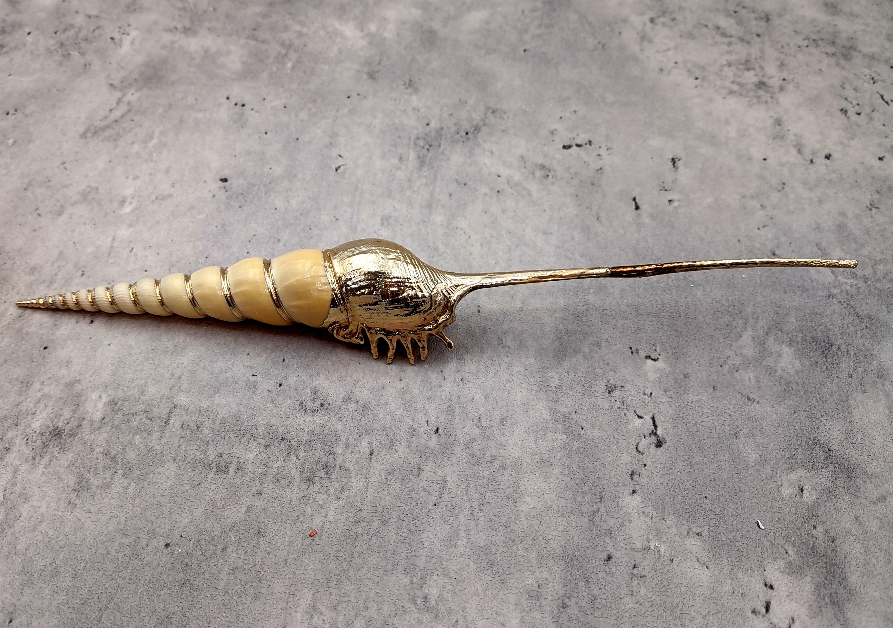 Silver Plated Shin-bone Tibia Seashell Tibia Fuscus (1 Shell Approx. 6 ...