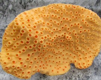 Orange FAUX Cup Sun Coral - Tubastrea Peltata - (1 FAKE Coral approx 10Wx7Tx4D  inches)