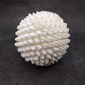 May include: A spherical decorative object covered in numerous small, white, spiraled seashell elements. The shells are arranged in a dense, overlapping pattern that creates a textured, rounded surface resembling a flower or a sea urchin.