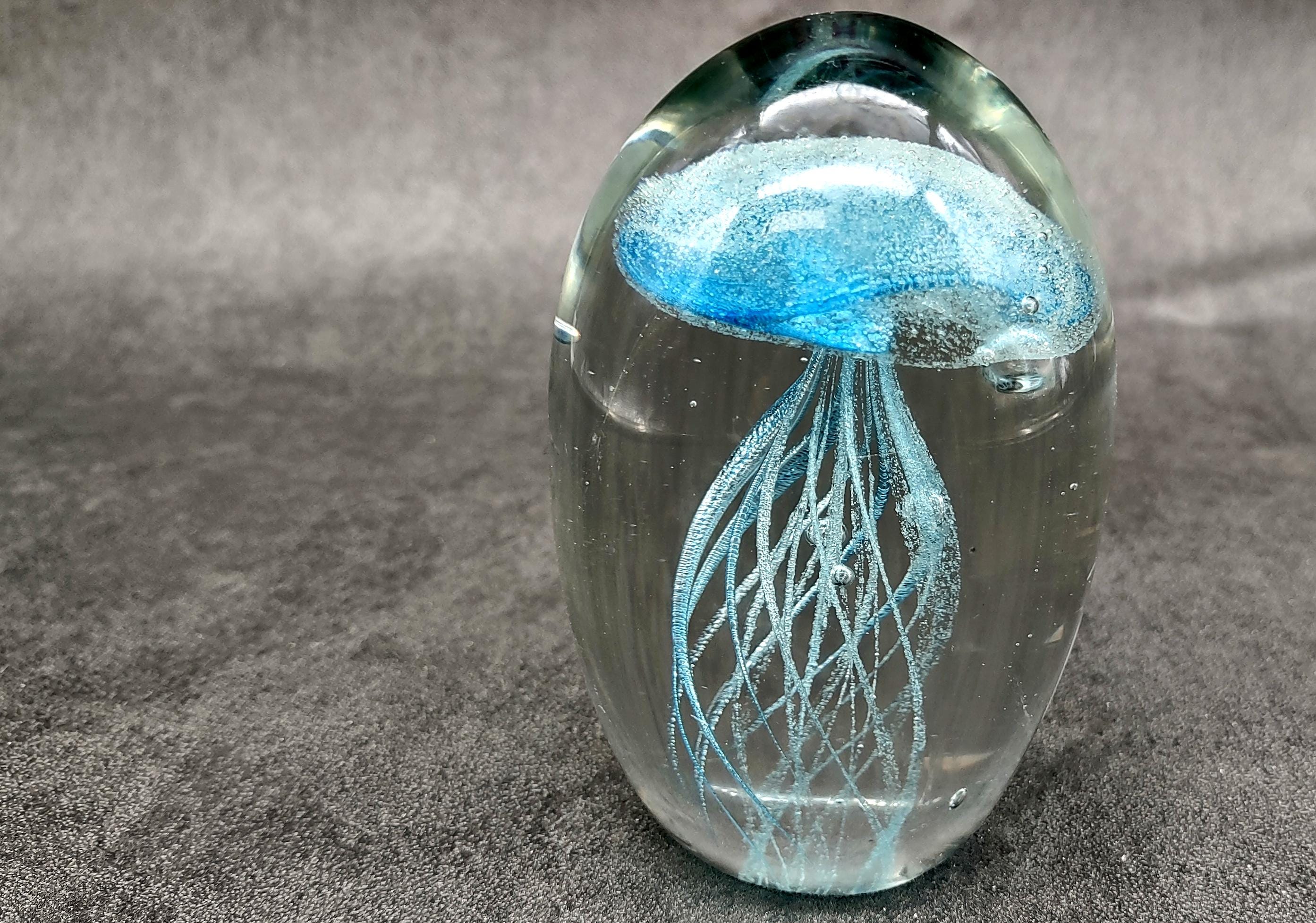 Jellyfish Glass Art - Etsy