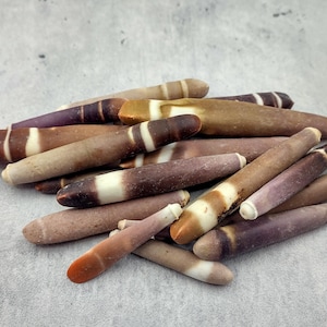 Sea Urchin Spines (20 spines approx. 1-3+ inches) Natural Urchin Shell for display & collecting!