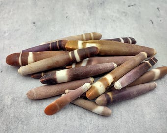 Sea Urchin Spines (20 spines approx. 1-3+ inches) Natural Urchin Shell for display & collecting!