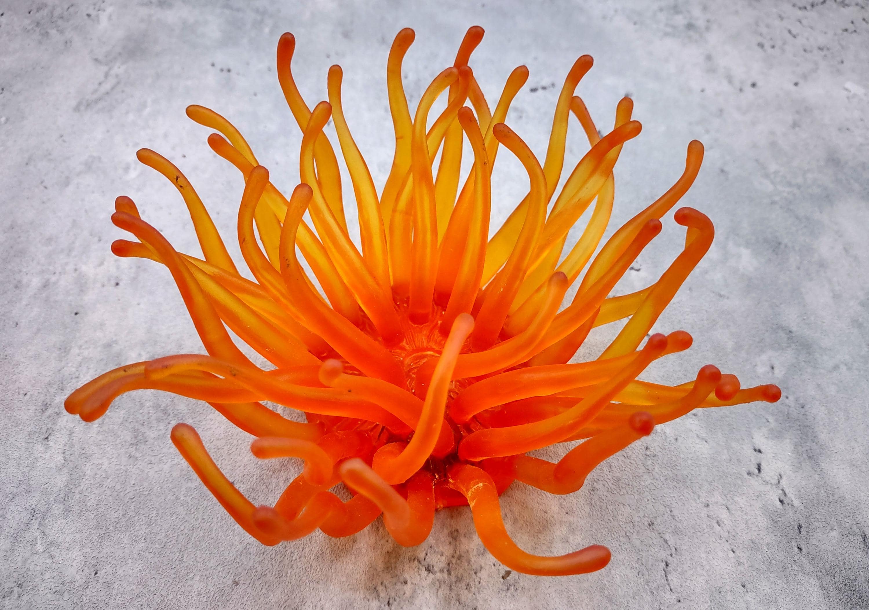 Orange FAUX Anemone Condylactis Gigantea (1 FAKE Anemone Approx