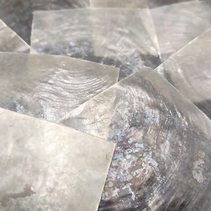 May include: Close-up of iridescent, rectangular mother-of-pearl shell pieces. The shells have a pearlescent sheen with swirling patterns and a natural, organic texture. The pieces are arranged in a layered composition.