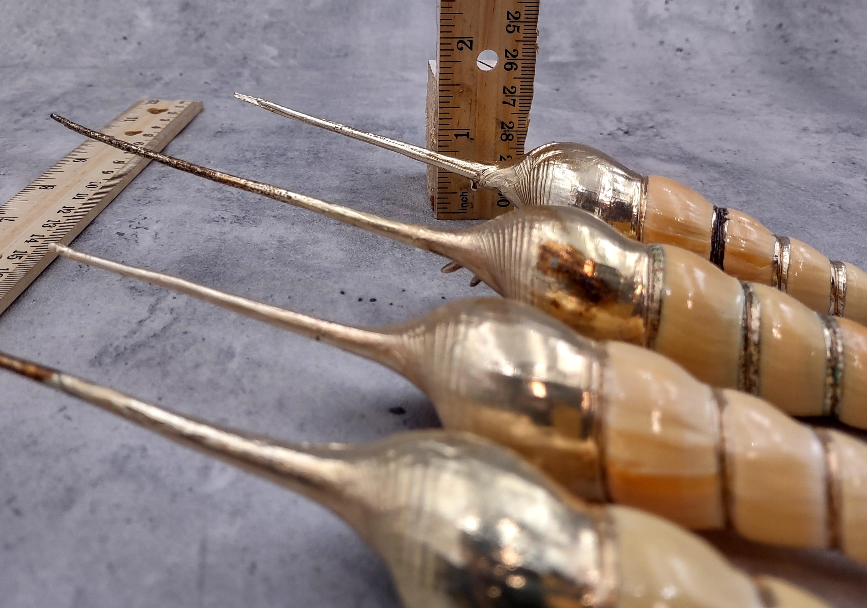 Silver Plated Shin-bone Tibia Seashell Tibia Fuscus (1 Shell Approx. 6 ...