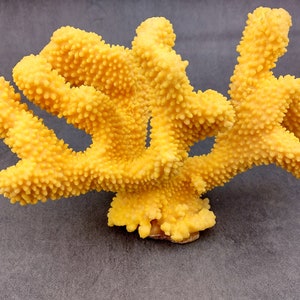 Coral de coliflor sintética amarilla Pocillopora Eydouxi 1 coral sintética de aproximadamente 9 pulgadas de ancho x 5 de alto x 4 profundidad imagen 5