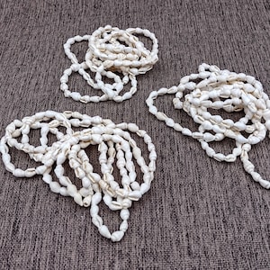 White Nassa Shell Necklace Leis (3 leis approx. 0.20+ inch x 56 inch CIRCUMFERENCE) Creamy seashell necklace for beach outfits or a gift!